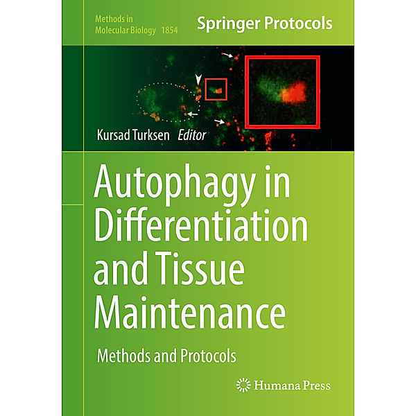 Autophagy in Differentiation and Tissue Maintenance