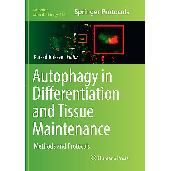 Autophagy in Differentiation and Tissue Maintenance