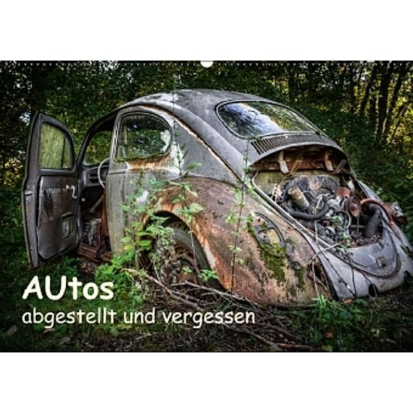 Autos, abgestellt und vergessen (Wandkalender 2016 DIN A2 quer), Dirk Rosin