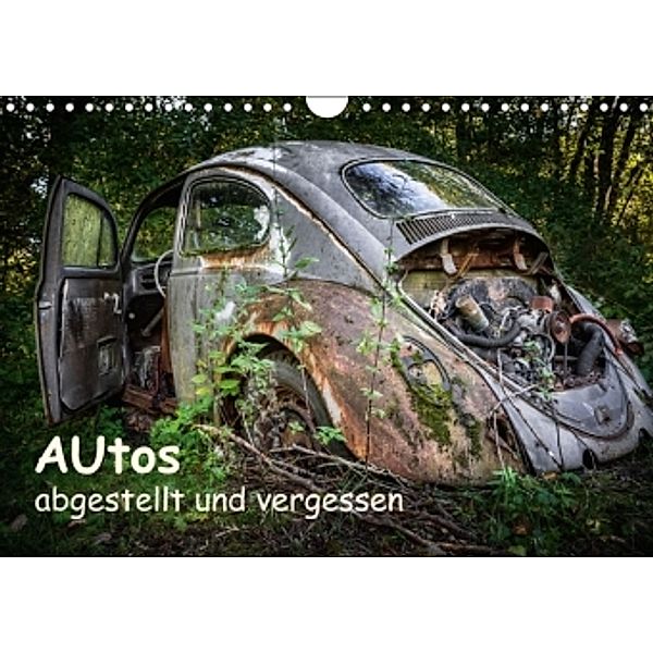Autos, abgestellt und vergessen (Wandkalender 2016 DIN A4 quer), Dirk Rosin