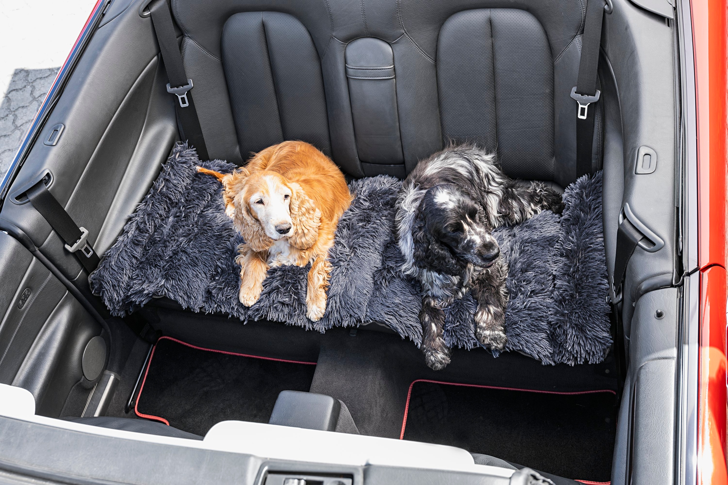 Hunde-Autositzbezug, 100% wasserdichte Haustier-Sitzbezug, für Autos LKW &  Suvs - Ssxjv