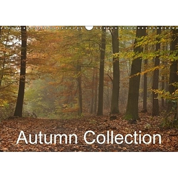 Autumn Collection (Wall Calendar 2017 DIN A3 Landscape), Marek Wasiel - philozoph