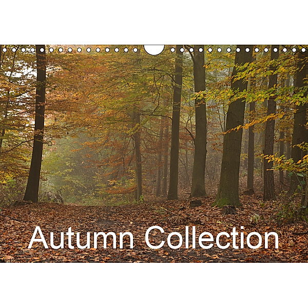 Autumn Collection (Wall Calendar 2019 DIN A4 Landscape), Marek Wasiel - philozoph