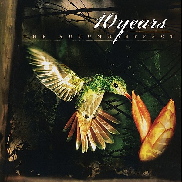 Autumn Effect (Vinyl), Ten Years