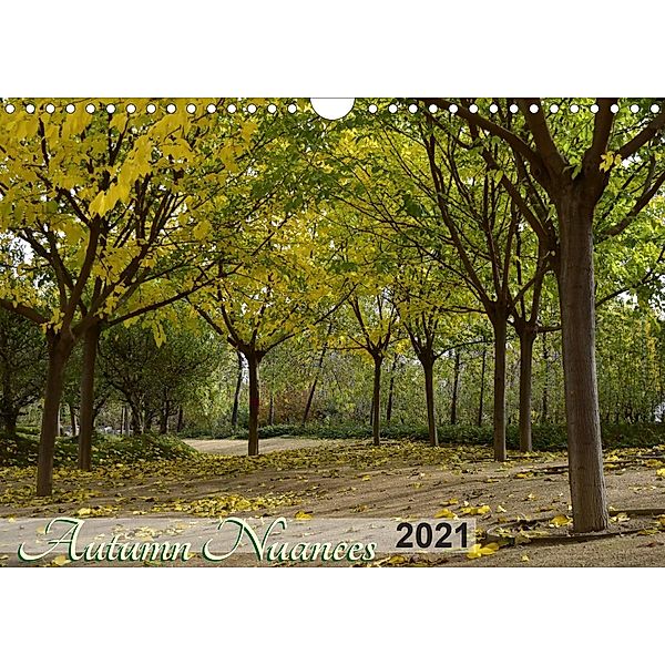 Autumn Nuances (Wall Calendar 2021 DIN A4 Landscape), Martiniano Ferraz