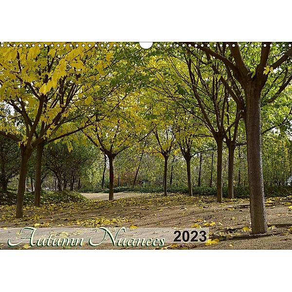 Autumn Nuances (Wall Calendar 2023 DIN A3 Landscape), Martiniano Ferraz