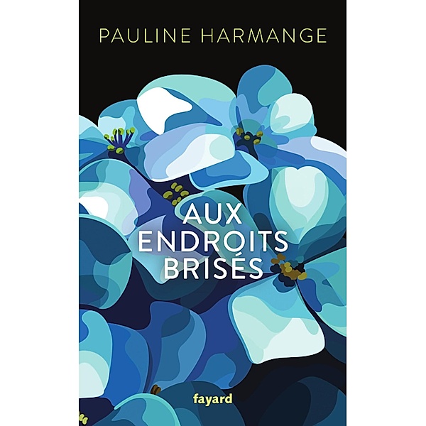 Aux endroits brisés / Littérature Française, Pauline Harmange