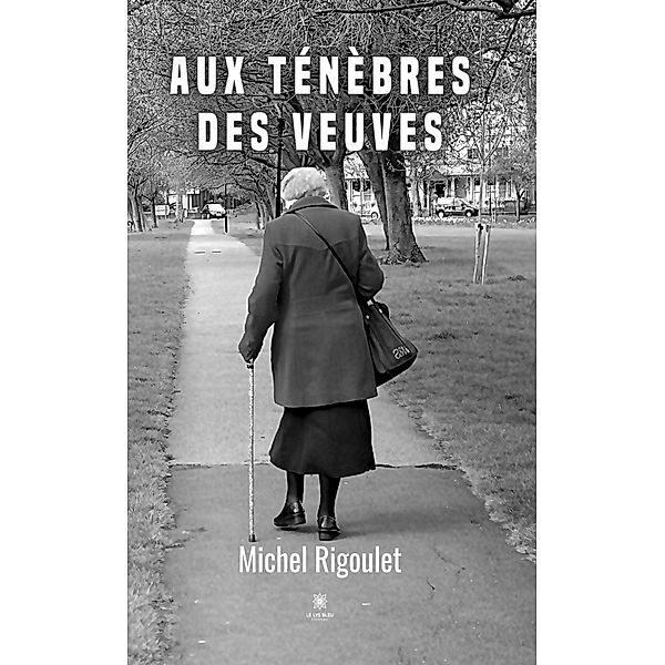 Aux ténèbres des veuves, Michel Rigoulet