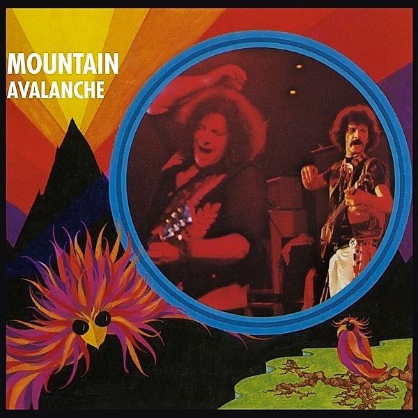 Avalanche, Mountain