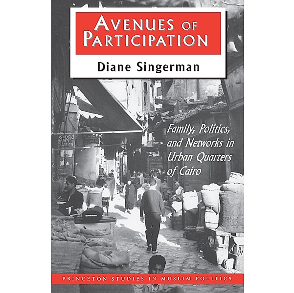 Avenues of Participation / Princeton Studies in Muslim Politics Bd.5, Diane Singerman