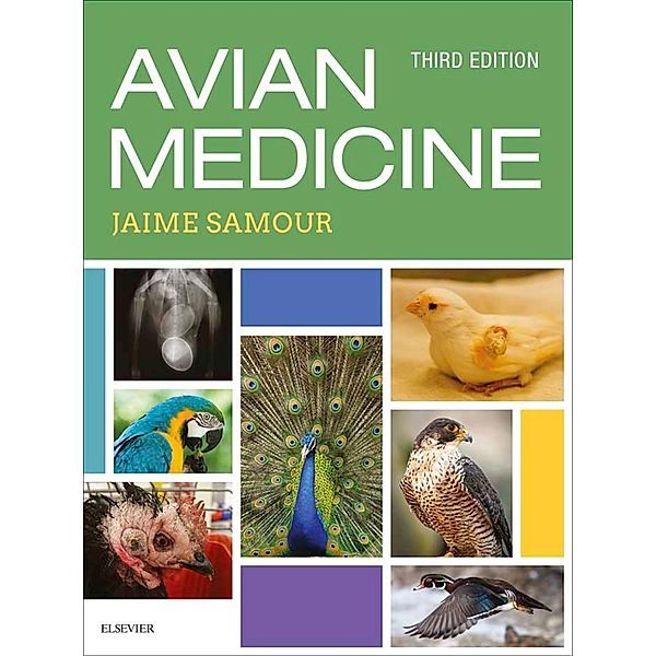 Avian Medicine, Jaime Samour