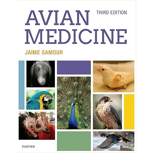 Avian Medicine, Jaime Samour