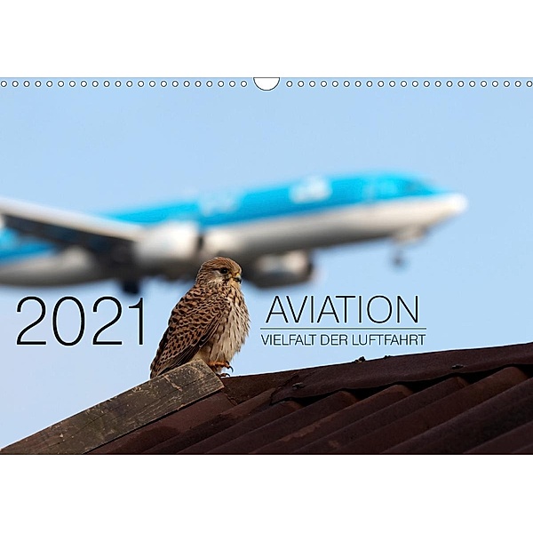 Aviation 2021 - Vielfalt der Luftfahrt (Wandkalender 2021 DIN A3 quer), Moritz Babl