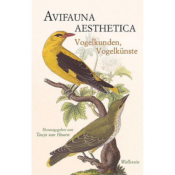 Avifauna aesthetica