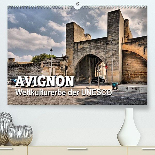 Avignon - Weltkulturerbe der UNESCO (Premium, hochwertiger DIN A2 Wandkalender 2023, Kunstdruck in Hochglanz), Thomas Bartruff
