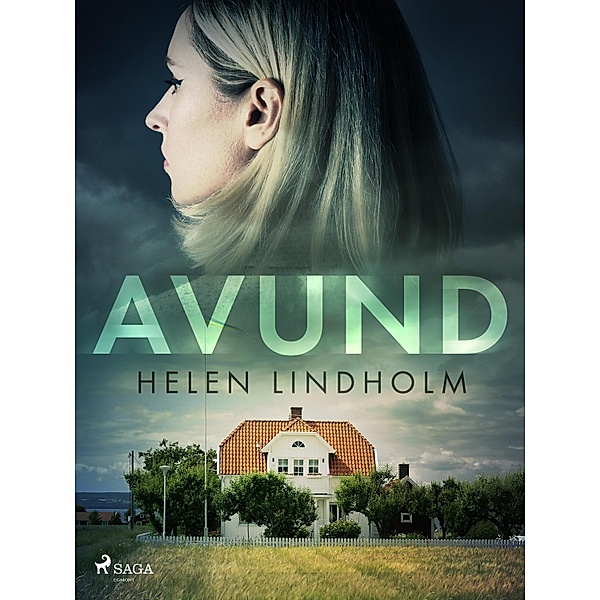 Avund / De sju dödssynderna Bd.2, Helen Lindholm