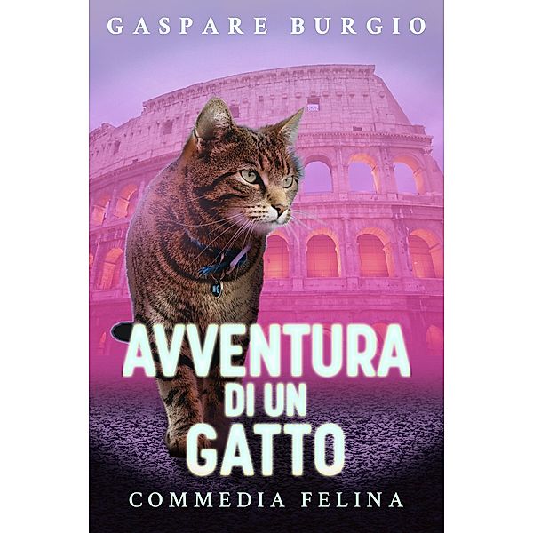 Avventura di un gatto, Gaspare Burgio