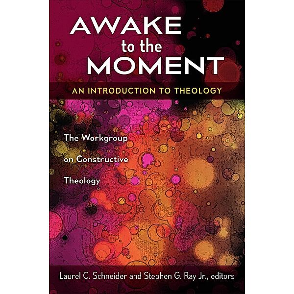 Awake to the Moment, Laurel C. Schneider, Stephen G. Jr. Ray