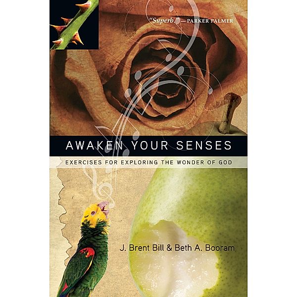 Awaken Your Senses, J. Brent Bill
