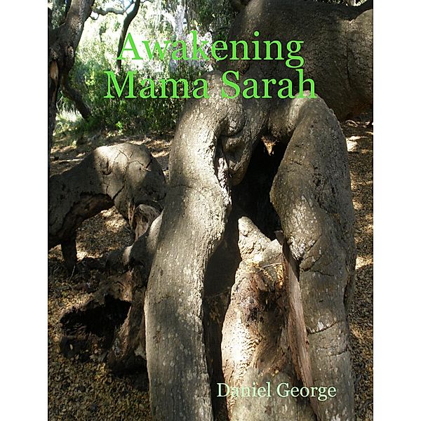 Awakening Mama Sarah, Daniel George