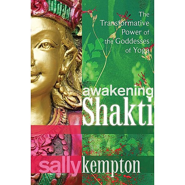 Awakening Shakti, Sally Kempton