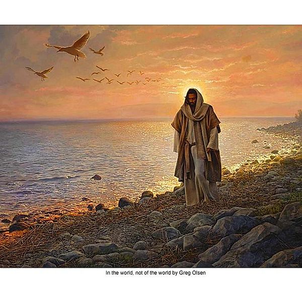 Awakening the Kingdom of Heaven, Michael Of Nebadon