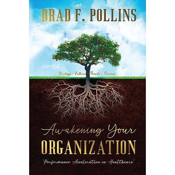 Awakening Your Organization: Performance Acceleration in Healthcare, Brad F. Pollins
