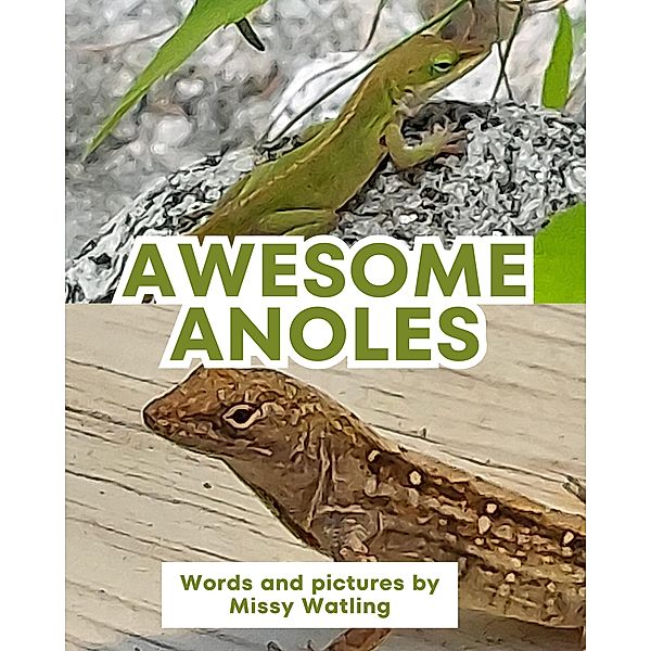 Awesome Anoles, Missy Watling