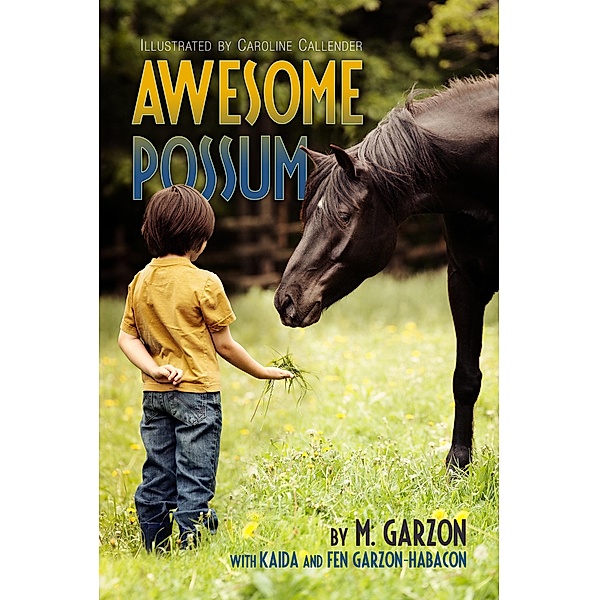 Awesome Possum (Awesome Possum Pony Club) / Awesome Possum Pony Club, M. Garzon