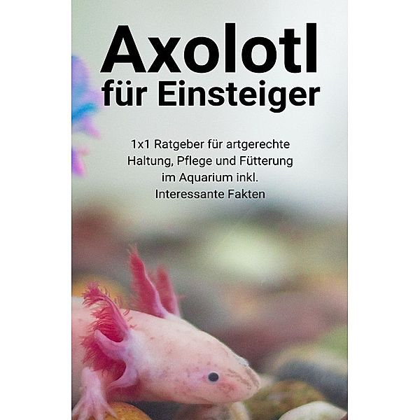 Axolotl für Einsteiger, Thorsten Hawk