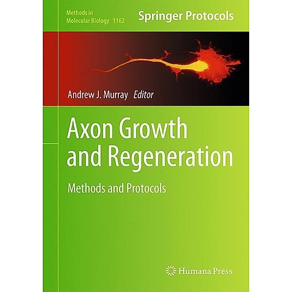 Axon Growth and Regeneration