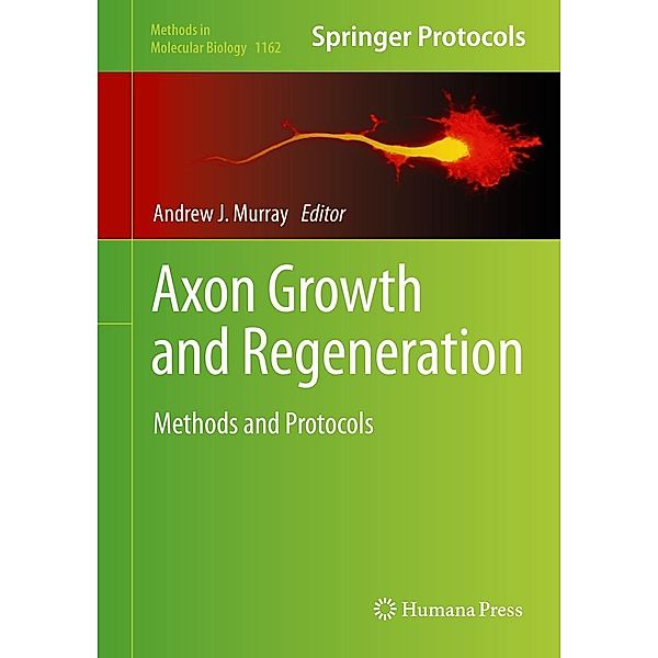 Axon Growth and Regeneration / Methods in Molecular Biology Bd.1162