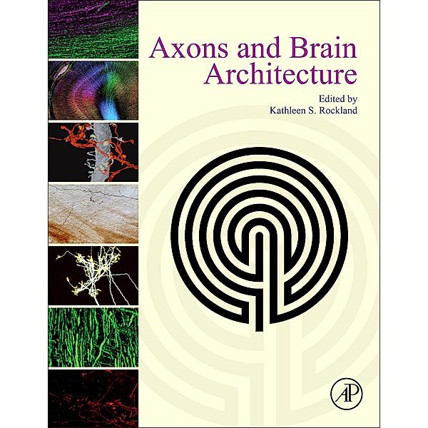 Axons and Brain Architecture