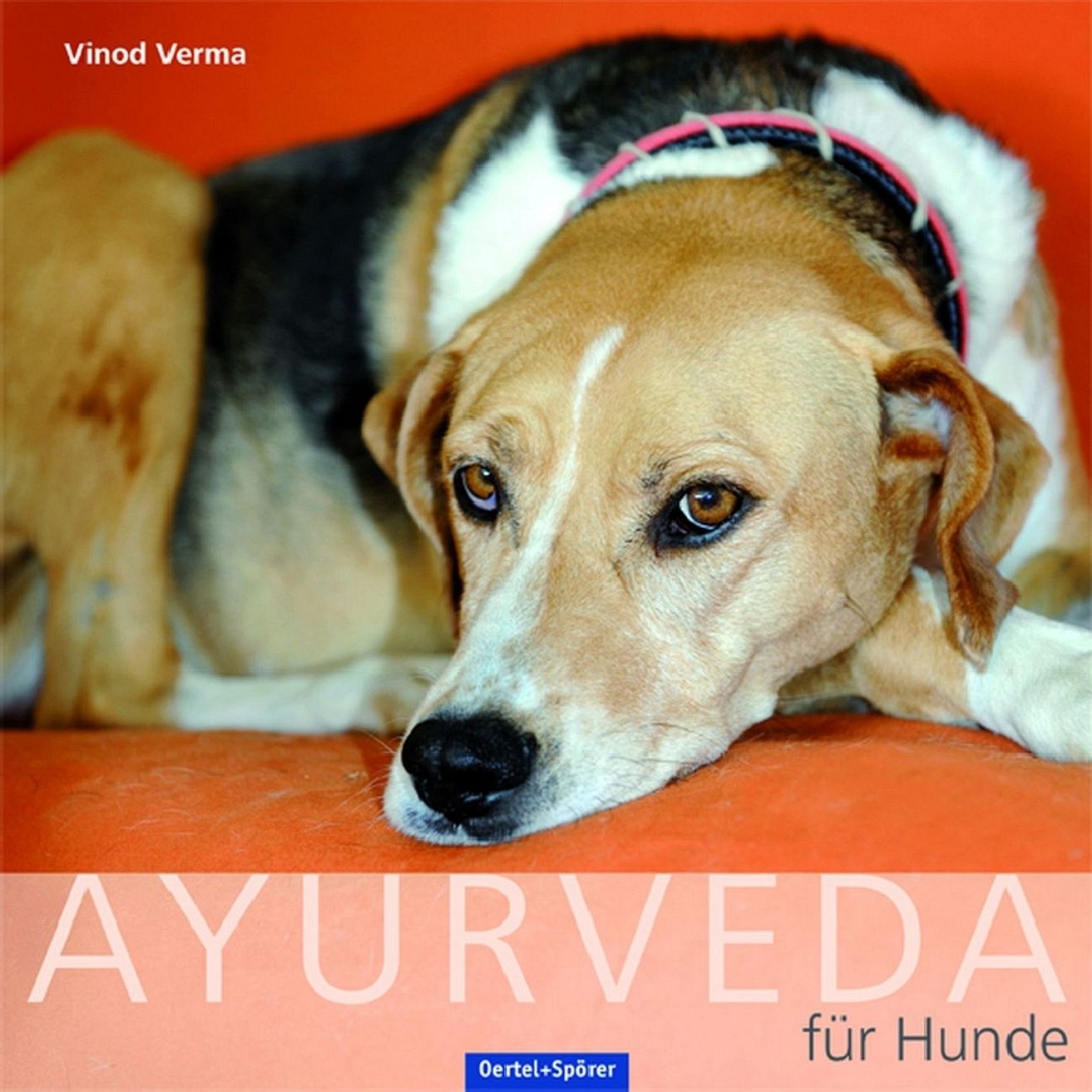 Ayurveda für den Hund Buch von Vinod Verma versandkostenfrei - Weltbild.de