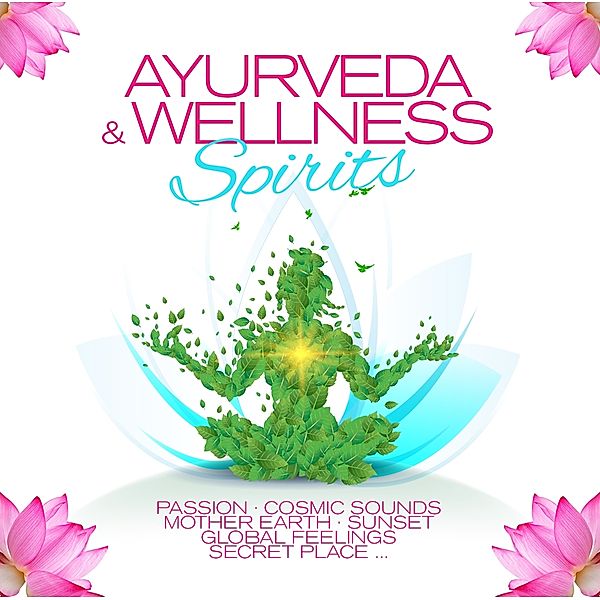 AYURVEDA & WELLNESS SPIRITS, Diverse Interpreten