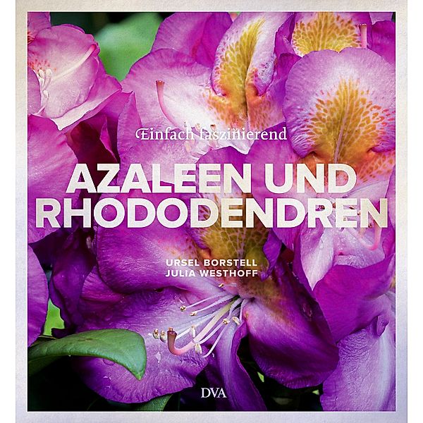 Azaleen und Rhododendren, Ursel Borstell, Julia Westhoff