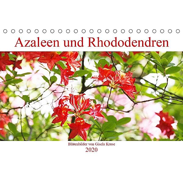 Azaleen und Rhododendren Blütenbilder (Tischkalender 2020 DIN A5 quer), Gisela Kruse