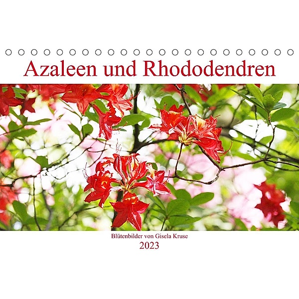 Azaleen und Rhododendren Blütenbilder (Tischkalender 2023 DIN A5 quer), Gisela Kruse