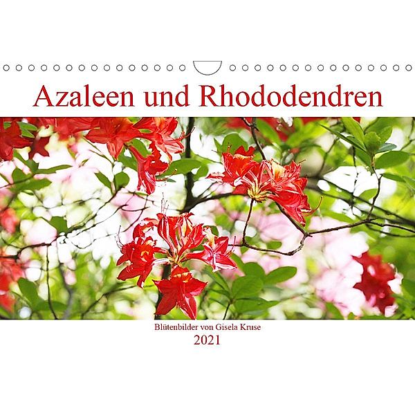 Azaleen und Rhododendren Blütenbilder (Wandkalender 2021 DIN A4 quer), Gisela Kruse