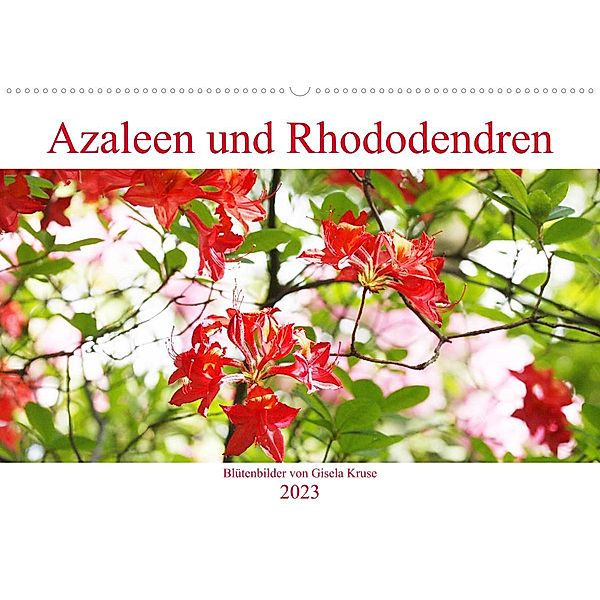Azaleen und Rhododendren Blütenbilder (Wandkalender 2023 DIN A2 quer), Gisela Kruse