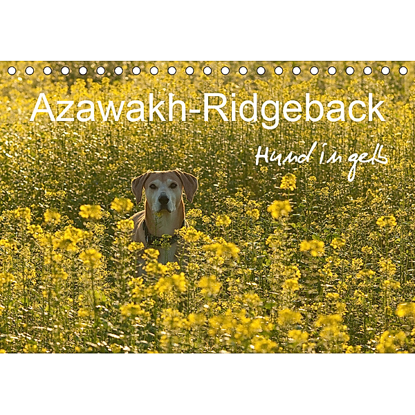 Azawakh-Ridgeback Hund in gelb (Tischkalender 2019 DIN A5 quer), Meike Bölts