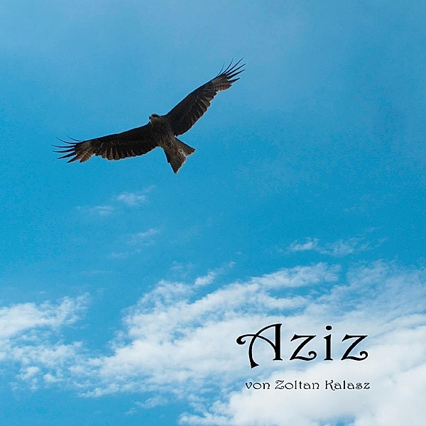Aziz, Zoltan Kalasz