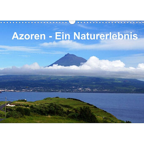 Azoren - Ein Naturerlebnis (Wandkalender 2022 DIN A3 quer), Karsten Löwe