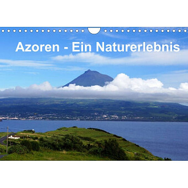 Azoren - Ein Naturerlebnis (Wandkalender 2022 DIN A4 quer), Karsten Löwe