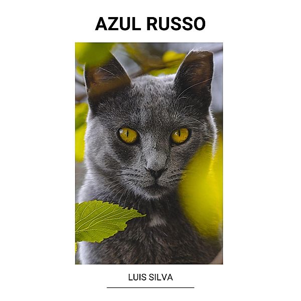 Azul Russo, Luis Silva