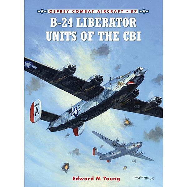 B-24 Liberator Units of the CBI, Edward M. Young
