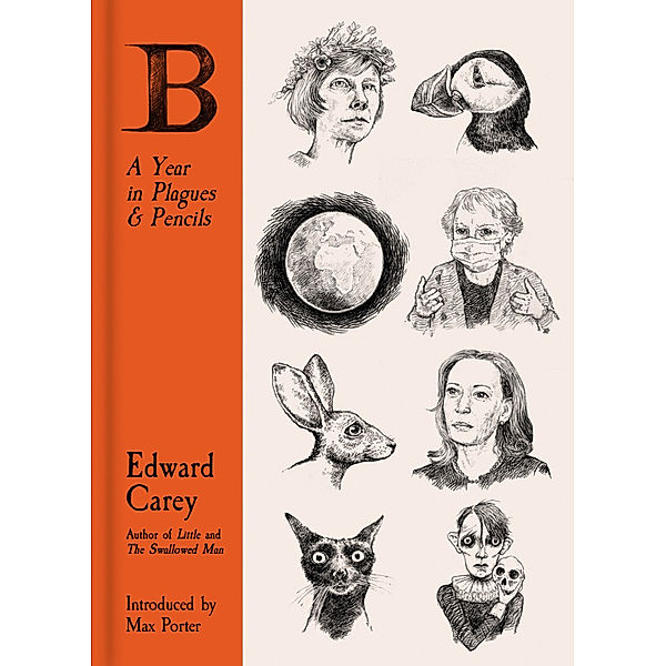 B: A Year in Plagues and Pencils, Edward Carey