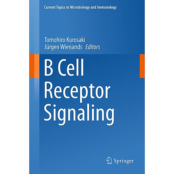 B Cell Receptor Signaling