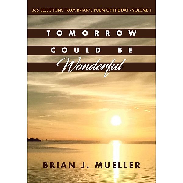 B-Drive Consulting, LLC: Tomorrow Could Be Wonderful, Brian J Mueller
