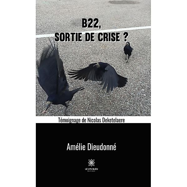B22, sortie de crise ?, Amélie Dieudonné